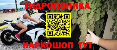 гашик Нягань